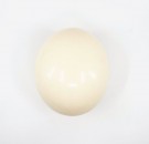 Strutseegg thumbnail